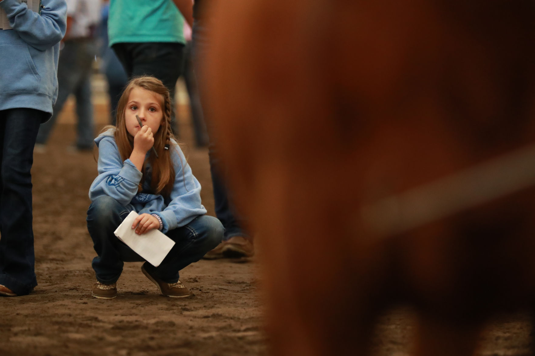 061819_RedAngusJudging04_bjs.JPG
